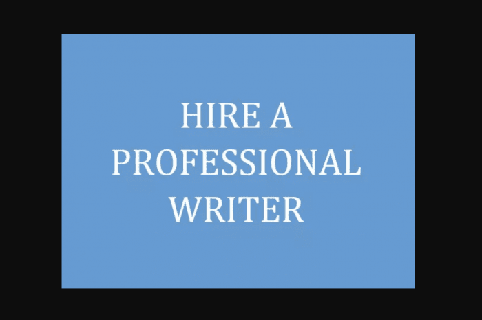 Hire a Professional Essay Writer